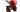 WEIMA 11 HP TILLER