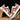 Ziva Fashion Sneakers & Joggers Shoes for Men – Lightweight Breathable Casual Shoes for Men & Boys