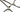 Bachaus Towel Clip – 7.5cm