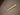 Brass-Lights-in-Antique-Finish-11