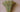 Brass-Lights-in-Antique-Finish-6