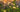 Firefly Solar Garden Light by Solar Centre Description | Swaying solar garden light