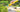 Mini Juice Bottles Interface Sprayer Head Water Pressure - Rocket Pump Universal - Gardening Sprayer - Rocket Spray Pump - Pressure Sprayer Nozzle - Gardening Tool