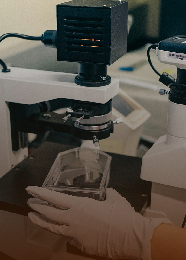 Surgical Instruments